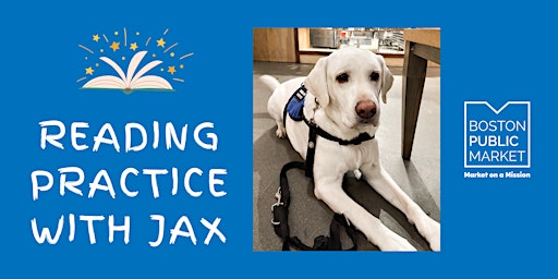 Reading Practice with Jax , Chief Barketing Officer primary image