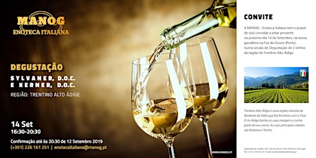 Imagem principal de Degustação de 2 vinhos da região de Trentino Alto Ádige - Itália