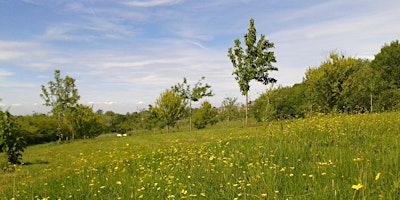 Local Volunteers Event: Pan Country Park Guided Walk primary image