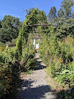 Hauptbild für Build a Bamboo Garden Arch