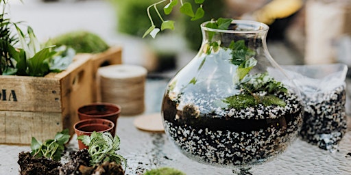 Hauptbild für DIY Terrarium Workshop