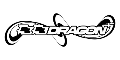 DD DRAGON DEBUT! primary image