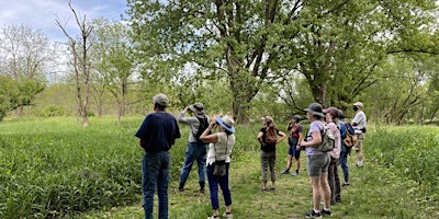 Image principale de Celebrate Trails Day Walk & Talk: Spring Bird Migration