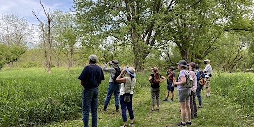 Primaire afbeelding van Celebrate Trails Day Walk & Talk: Spring Bird Migration