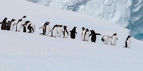Discover Antarctica on an Expedition Cruise with Cathy Scott primary image