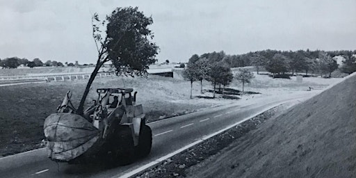 Special Collections Sunday: Trees primary image