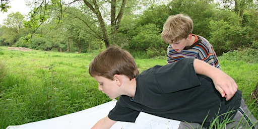 Image principale de Abberton Home Education Insects & Invertebrates