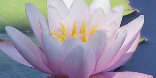 Heart of the Lotus: An Evening of Songs and Chants of the Sacred Feminine primary image