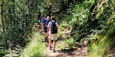 Imagem principal de Singlewanderung: Bad Dürkheim - Ungeheuersee - Kamelfelsen (40-55)