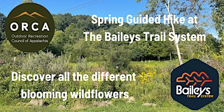 Spring Guided Hike at The Baileys Trail System - Wildflowers