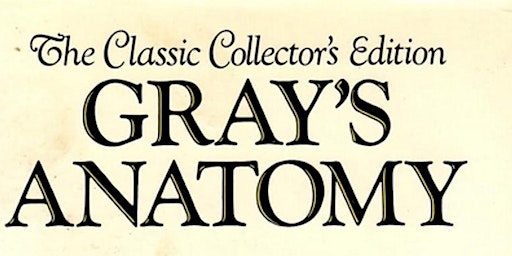 Imagen principal de Mini-Curso: A Verdadeira História do Gray´s Anatomy