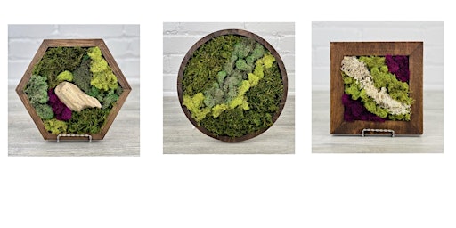 Immagine principale di Preserved Moss Wall Art Class 