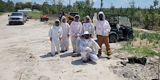 Imagem principal do evento Beekeeping: Hive Management Class