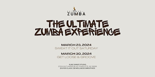 The Ultimate Zumba Experience primary image