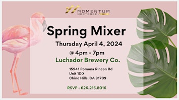 Spring Mixer primary image