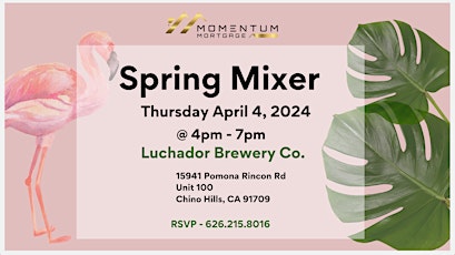 Spring Mixer