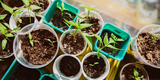 April food growing workshop primary image