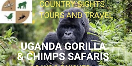 Uganda gorilla and chimpanzees tracking