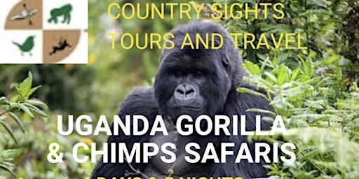 Uganda gorilla and chimpanzees tracking primary image