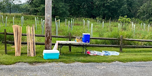 Hauptbild für Boathouse Park Spring Cleanup