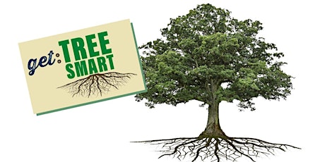 Get Tree Smart Workshop primary image