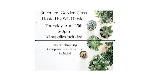 Image principale de Succulent Garden  Class