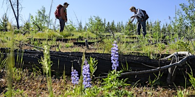 Primaire afbeelding van Crossroads of Ideas: Tomorrow's Yellowstone