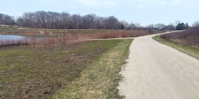 Imagem principal de Meacham Grove Forest Preserve walk