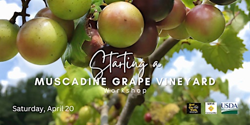 Hauptbild für Growing Muscadine Grapes | Start a Vineyard