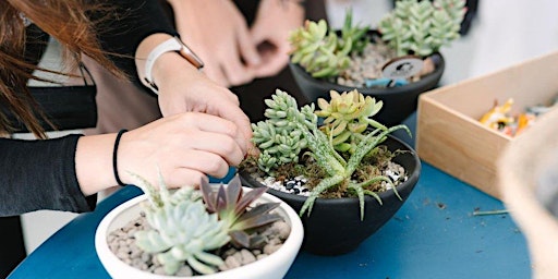 Imagem principal do evento Succulent Design Workshop