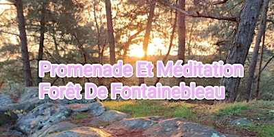 Fontainebleau initiation marche méditative, méditation en pleine conscience  primärbild