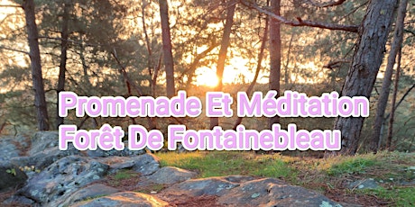 Image principale de Fontainebleau initiation marche méditative, méditation en pleine conscience