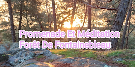Fontainebleau initiation marche méditative, méditation en pleine conscience  primärbild
