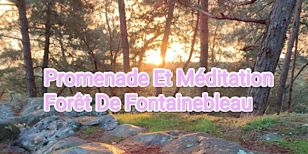 Fontainebleau initiation marche méditative, méditation en pleine conscience