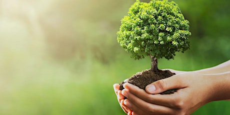 Earth Day Celebration at Earthbound Farm Stand