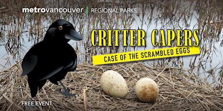 Critter Capers - The Case of the Scrambled Eggs