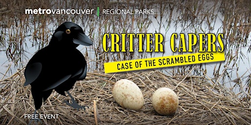 Primaire afbeelding van Critter Capers - The Case of the Scrambled Eggs