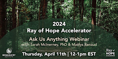 2024 Ray of Hope Accelerator - Ask Us Anything