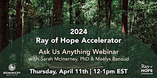 Primaire afbeelding van 2024 Ray of Hope Accelerator - Ask Us Anything