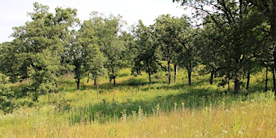 Oak Landowner Workshop  primärbild