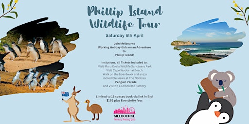 Imagem principal de Phillip Island and Wildlife Tour| Melbourne Working Holiday Girls