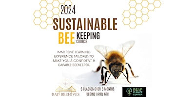 Primaire afbeelding van 2024  Introduction to Beekeeping
