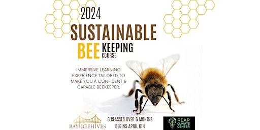 Hauptbild für 2024  Introduction to Beekeeping