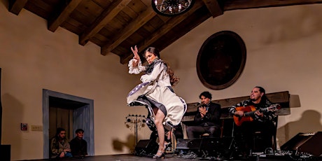 Flamenco Íntimo  primärbild
