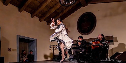 Image principale de Flamenco Íntimo