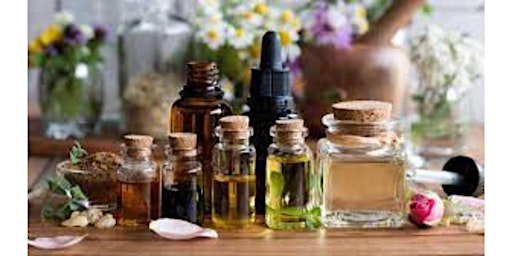 Body and Home Essential Oils Workshop primary image