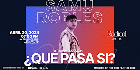 Samu Robles en concierto