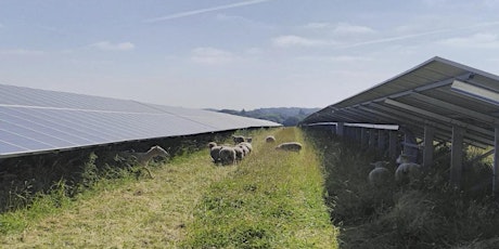 Farming with the Sun: Exploring Agrivoltaics from a Farming Perspective