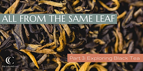 All from the Same Leaf Part 3: Exploring Black Tea