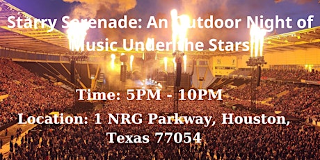 Starry Serenade: An Outdoor Night of Music Under the Stars